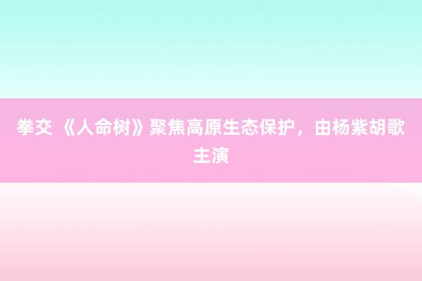 拳交 《人命树》聚焦高原生态保护，由杨紫胡歌主演