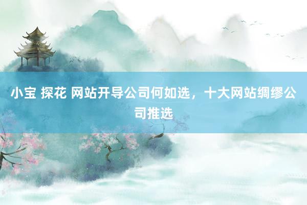 小宝 探花 网站开导公司何如选，十大网站绸缪公司推选