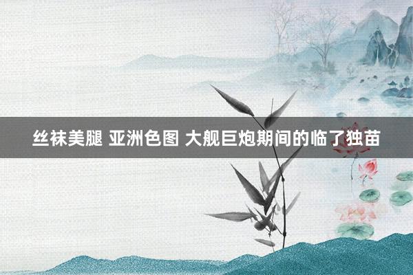 丝袜美腿 亚洲色图 大舰巨炮期间的临了独苗