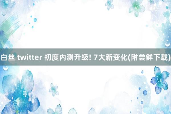 白丝 twitter 初度内测升级! 7大新变化(附尝鲜下载