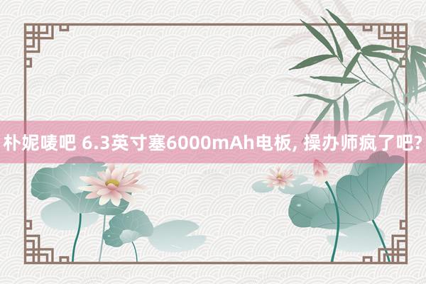 朴妮唛吧 6.3英寸塞6000mAh电板， 操办师疯了吧?