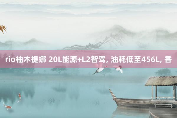rio柚木提娜 20L能源+L2智驾, 油耗低至456L, 