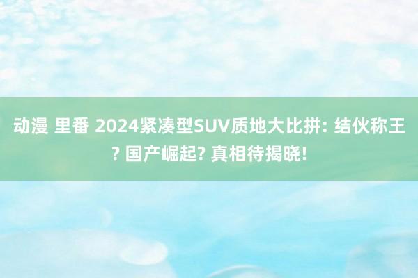 动漫 里番 2024紧凑型SUV质地大比拼: 结伙称王? 国
