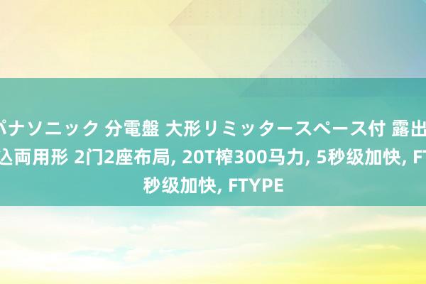 パナソニック 分電盤 大形リミッタースペース付 露出・半埋込