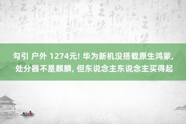 勾引 户外 1274元! 华为新机没搭载原生鸿蒙, 处分器不