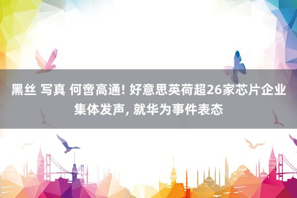 黑丝 写真 何啻高通! 好意思英荷超26家芯片企业集体发声,