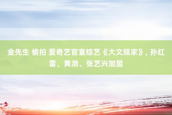 金先生 偷拍 爱奇艺官宣综艺《大文娱家》, 孙红雷、黄渤、张