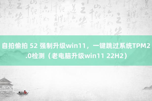 自拍偷拍 52 强制升级win11，一键跳过系统TPM2.0