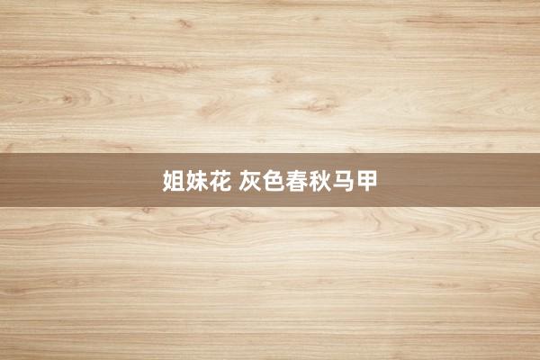 姐妹花 灰色春秋马甲