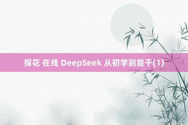 探花 在线 DeepSeek 从初学到能干(1)