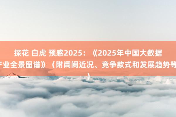 探花 白虎 预感2025：《2025年中国大数据产业全景图谱